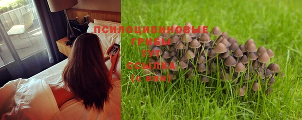 ГАЛЛЮЦИНОГЕННЫЕ ГРИБЫ Белоозёрский