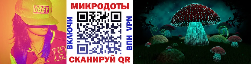 магазин продажи наркотиков  Велиж  Галлюциногенные грибы Psilocybine cubensis 